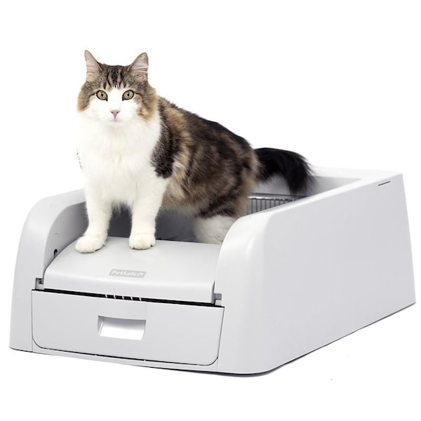 Petsafe ScoopFree Litter Box, 21.1 in W, 28 in D - PAL00-17762