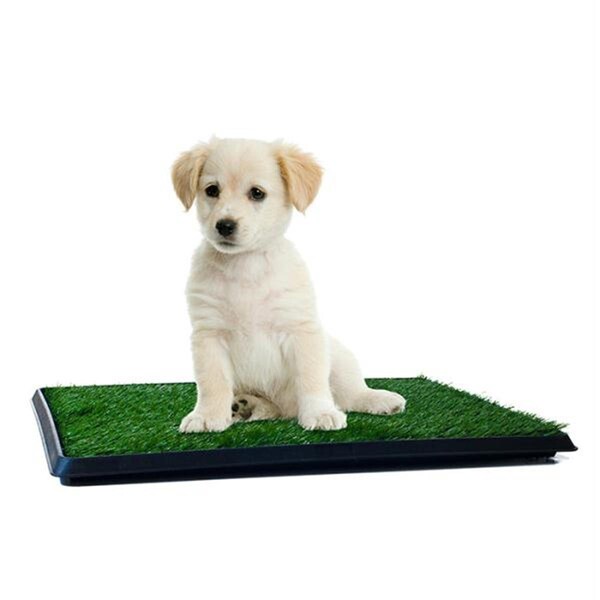 Daretocare PAW Puppy Potty Trainer - The Indoor Restroom for Pets - DA7414