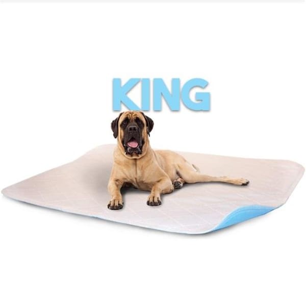 Lennypads Lennypads 4872LP 48 x 72 in. King Size Washable Pet Pad - White - 4872LP