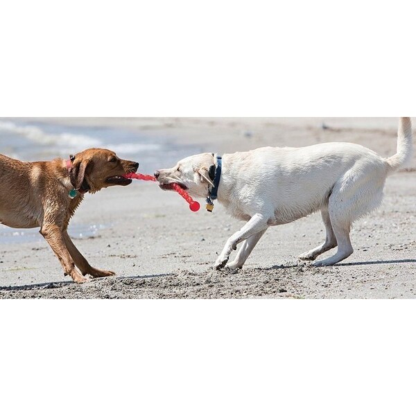 Kong Safestix PF3 Dog Toy, S, Stick, Plastic, Assorted - KO-PF3
