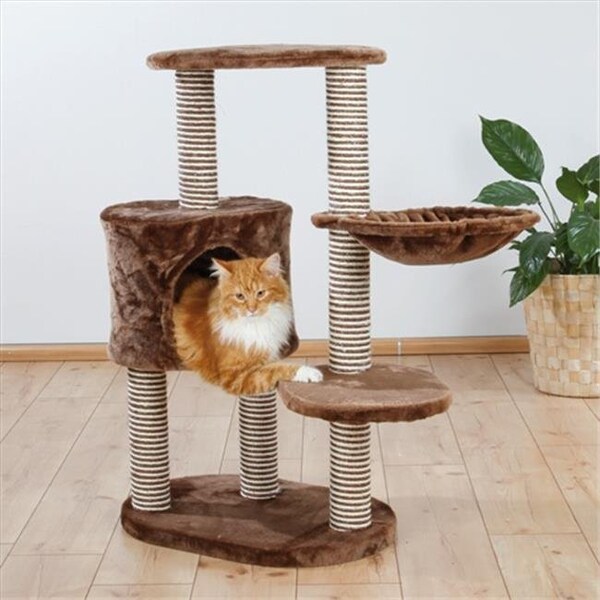 Trixie Pet Products TRIXIE Pet Products 44620 Moriles Cat Tree; Brown - 44620