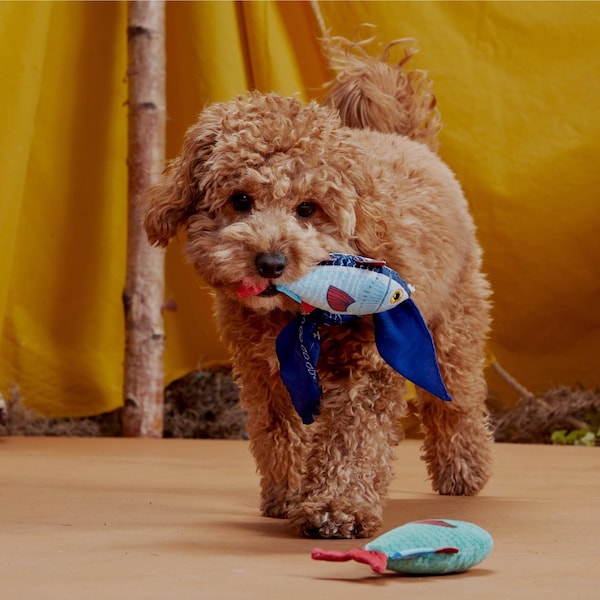 Bark Bark Blue/Red Plush Mike & Mike The Trout Twins Dog Toy 2 pk - 706573