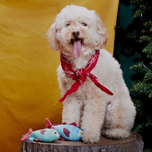 Bark Bark Blue/Red Plush Mike & Mike The Trout Twins Dog Toy 2 pk - 706573