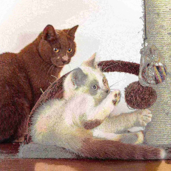 Pet Adobe 3-tier 31-inch Cat Tree Multilevel Tower with Scratching Posts, Bed and Toys for Cats/Kittens - 133869QGI