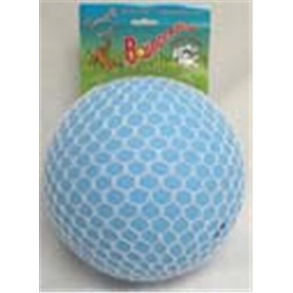 Jolly Pets 8 Inch Bounce-N-Play Ball - Light Blue - 2508BB - 38555