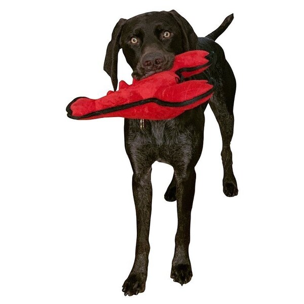 Pet Park Blvd Dog Toy, S, Chew Toy, Tuffimals Lobster - US2021 14 12