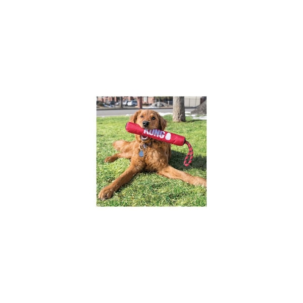 Kong Signature Stick with Rope, 16 In. - SKSR2