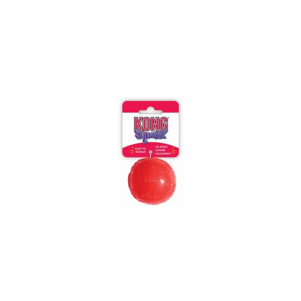 Phillips Pet Food Supply Squeezz Ball Dog Toy With Squeaker, XL - PSBX
