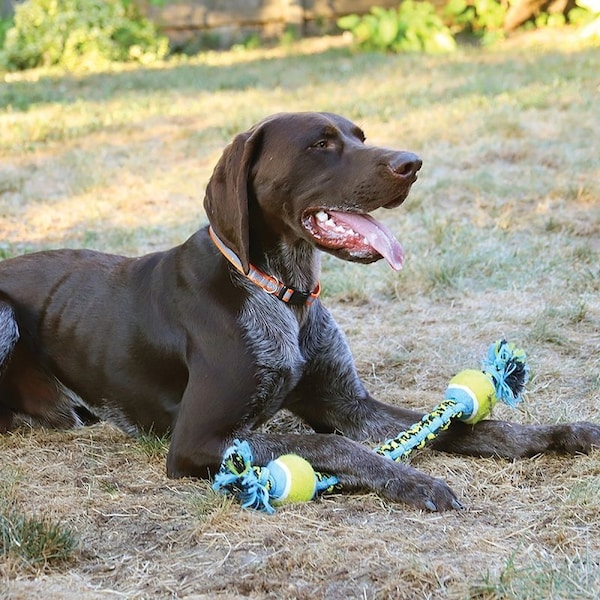 Pet Park Blvd Dog Toy, Chew, Fetch, Tug Toy, Paracord Rope Double Tennis Tug, Yellow - US2056 99