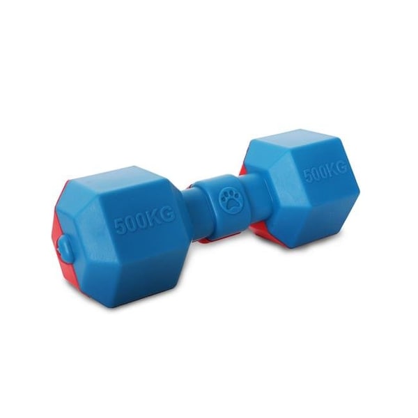 Petpurifiers Dumbbell Durable Water Floating Chew & Fetch Dog Toy; Red & Blue - One Size - PE808387