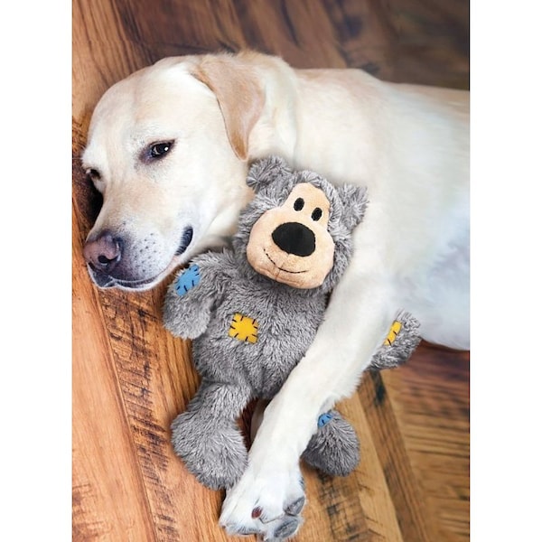 Kong Wild Knots NKR3 Dog Toy, M/S, Bear, Assorted - KO-NKR3