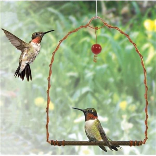 Songbird Essentials Songbird Essentials SEHHHUMS Copper Hummingbird Swing - SEHHHUMS