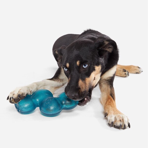 Bark Bark Blue Plush Treat Giver River Dog Toy 1 pk - 212018
