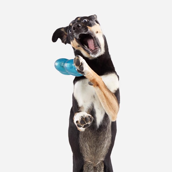 Bark Bark Blue Plush Treat Giver River Dog Toy 1 pk - 212018
