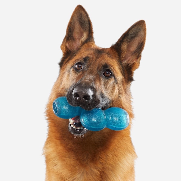 Bark Bark Blue Plush Treat Giver River Dog Toy 1 pk - 212018