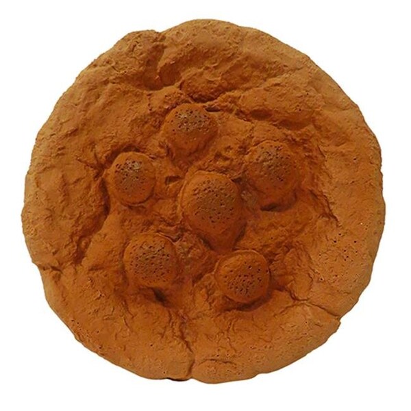 Fancy Feline Premium Stuffed Latex Totally Soft Cookie Toys; 7 in. - FA510982