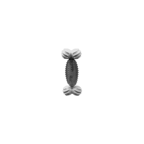 Canine Clean Bone Dental Dog Toy, Peppermint, 5-In. - 51150