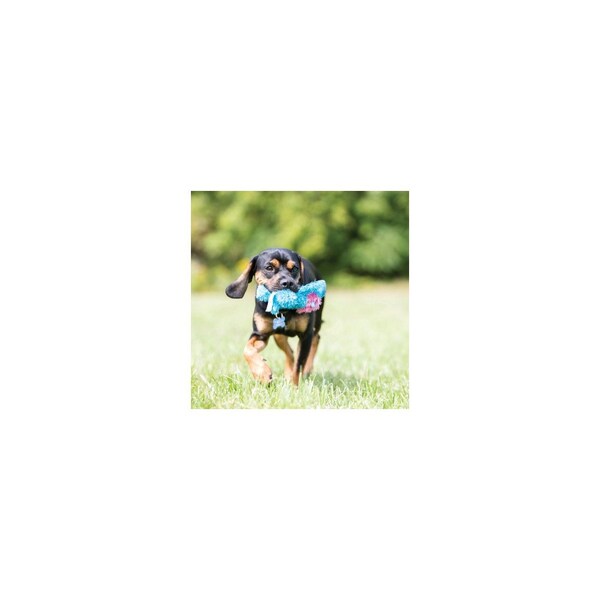 Kong Cozie Ali Alligator Plush Dog Toy, Small - ZY3