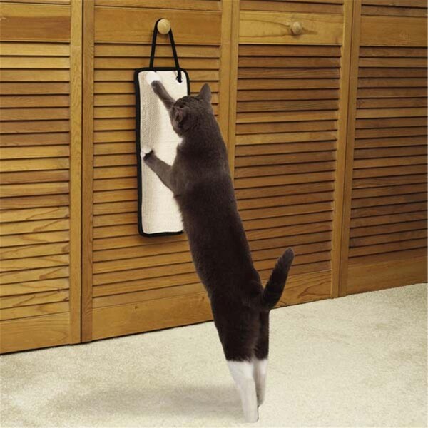 Petedge Meow Town Stretch N Scratch, 2PK - ZW10814 02