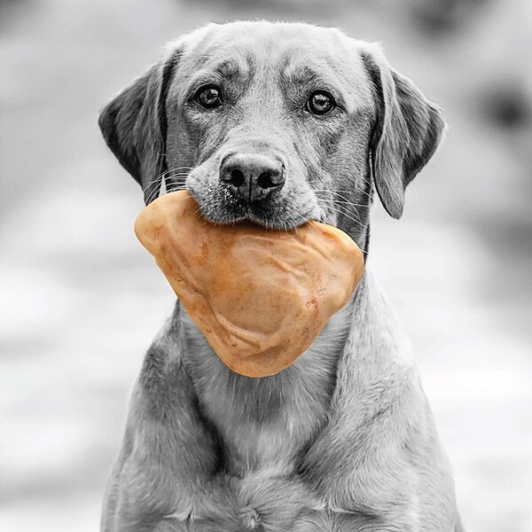 Barkbone Petmate BarkBone Dog Toy, M, Bacon, Chew Toy, Natural Instincts Pig Ear, Nylon - 36069