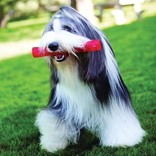 Kong Squeezz PSS1 Dog Toy, L, Squeaker, Stick, Rubber, Amethyst/Emerald/Ruby/Sapphire - KO-PSS1