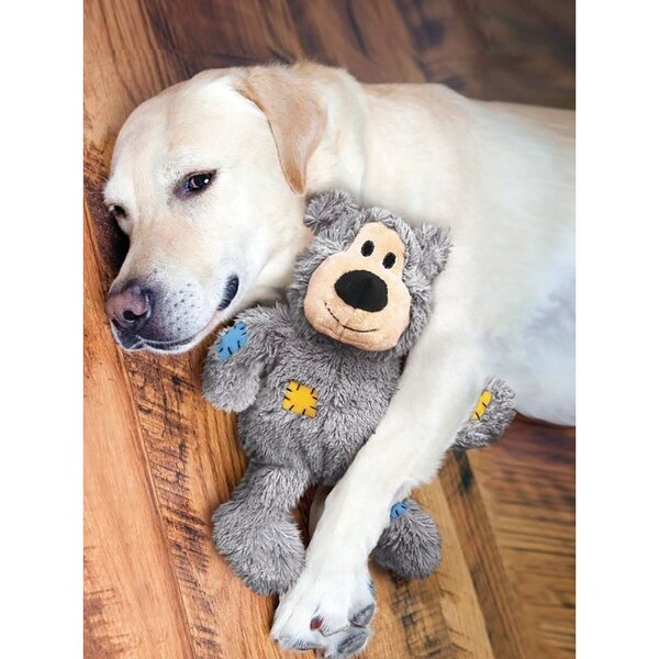 Kong Wild Knots NKR1 Dog Toy, L/M, Bear, Assorted - KO-NKR1