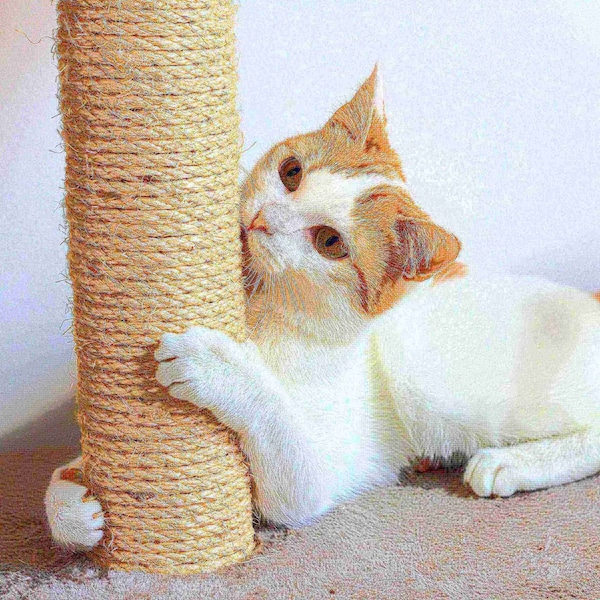 Pet Adobe Pet Adobe Cat Tree House, Multi-Level, Scratching Posts, Condos, and Perches, 50-inches Tall, White - 311020WIK