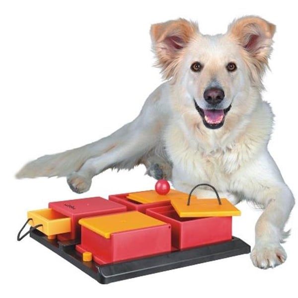 Trixie Pet Products TRIXIE Pet Products 32012 Dog Activity Poker Box - Level 2 - 32012