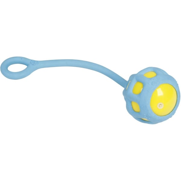 Petpurifiers Tug-O-Warp Dog Toy - Blue - One Size - PE3177727