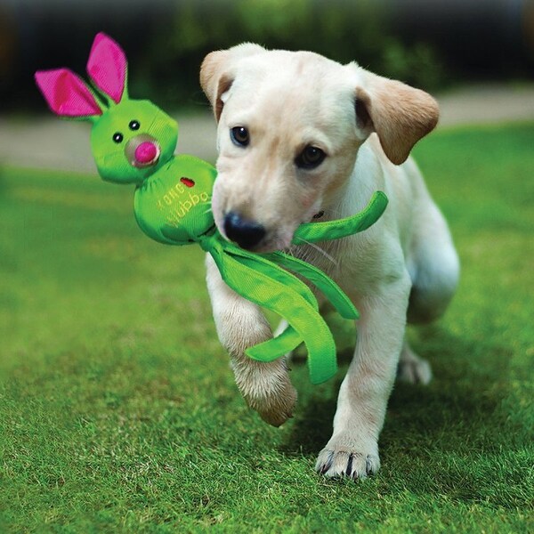 Kong Wubba Ballistic Friends WBF1 Dog Toy, L, Nylon, Assorted - KO-WBF1