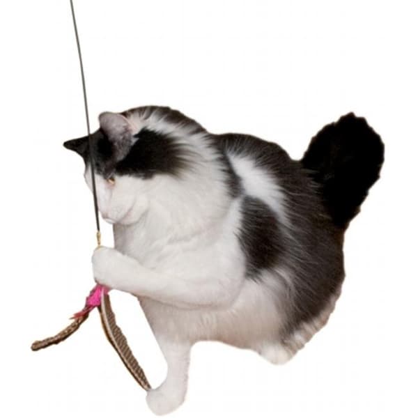 Imperial Cat Imperial Cat 01131 Da Bird Wand Cat n Around Wands - 1131