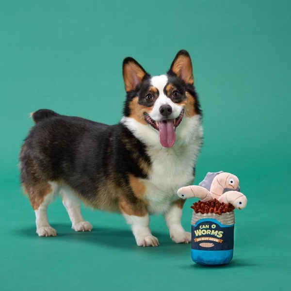 Bark Bark Multicolored Plush Live Bait Bites Dog Toy 1 pk - 207733