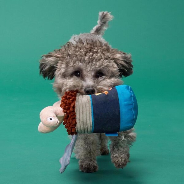 Bark Bark Multicolored Plush Live Bait Bites Dog Toy 1 pk - 207733
