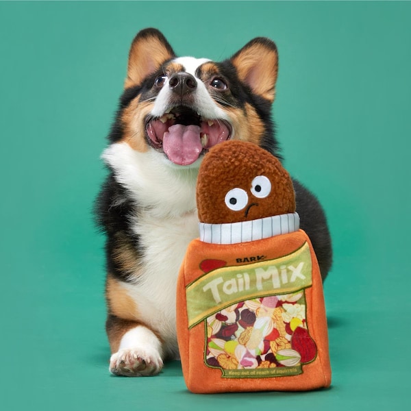 Bark Bark Multicolored Plush Tail Mix Dog Toy 1 pk - 211786
