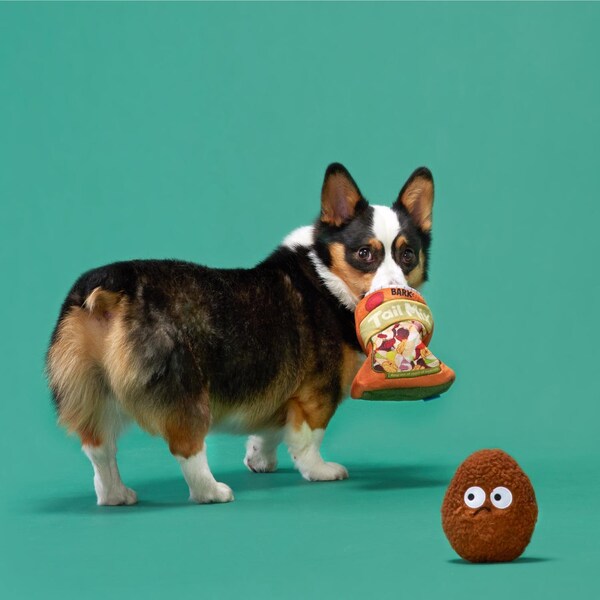 Bark Bark Multicolored Plush Tail Mix Dog Toy 1 pk - 211786