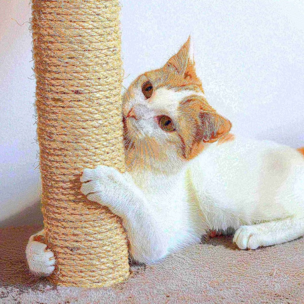 Pet Adobe Pet Adobe Cat Scratching Post- Play Area with 3 Poles, Perch and Toys- 19.25 inch Tall - 835979GCZ