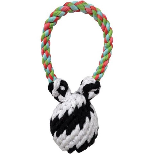 Fancy Feline Large Super Squeaker Bear Rope Tug Toys 9 in - FA124330