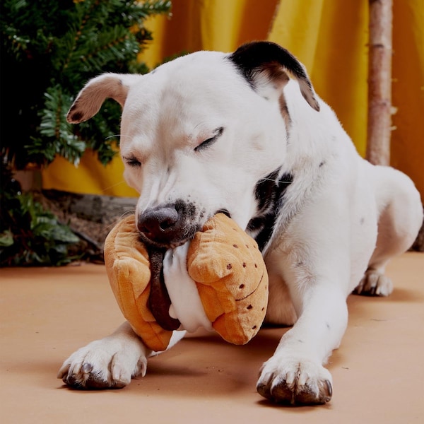 Bark Bark Multicolored Plush More S'mores Dog Toy 1 pk - 706579
