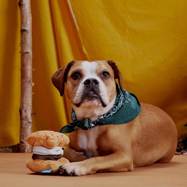 Bark Bark Multicolored Plush More S'mores Dog Toy 1 pk - 706579