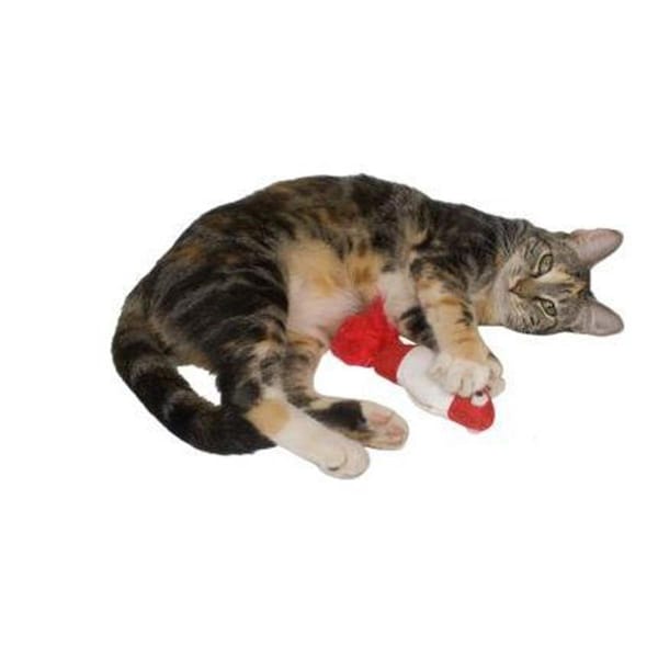 Petpurifiers 612 Bobber Catnip Toy with Organic Catnip - PE321236