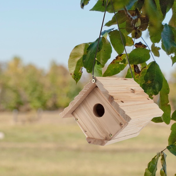 Audubon Audubon 6.25 in. H X 6.8 in. W X 7.13 in. L Red Cedar Bird House - NAWREN1N