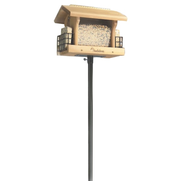 Woodlink Woodlink 72 in. H X 6.5 in. W X 2 in. D Bird Feeder Pole - 24289