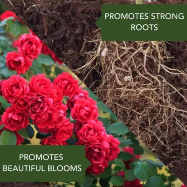 Bayer BioAdvanced 2-In-1 Systemic Granules Rose and Flower Plant Food 5 lb - 701100A