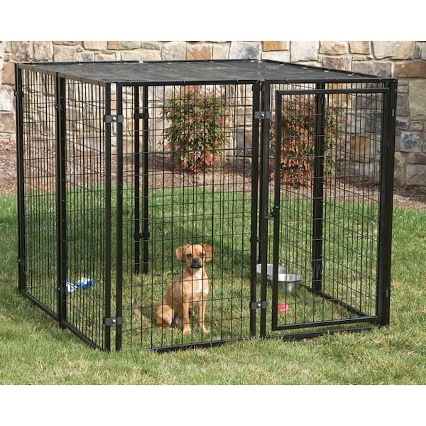 Stephens Pipe & Steel Dog Kennel with Sunblock Top, 5 ft OAL, 5 ft OAW, 4 ft OAH, PowderCoated - RSHBK11-11799