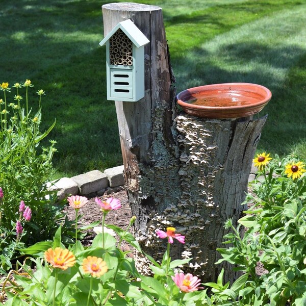 Natures Way Nature's Way Better Gardens 9 in. H X 3.5 in. W X 5 in. L Wood Insect House - PWH2-AST