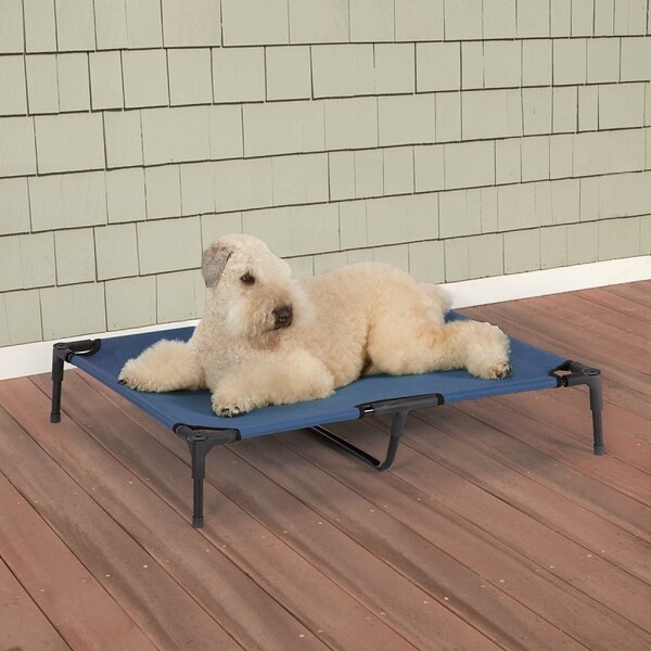 Guardian Gear Pet Cot, 36 in L, 30 in W, Polyester Cover, Blue - ZW9023 20 19