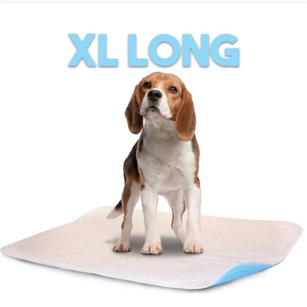Lennypads Lennypads 2436LP 24 x 36 in. Extra Large Washable Pet Pad - White - 2436LP