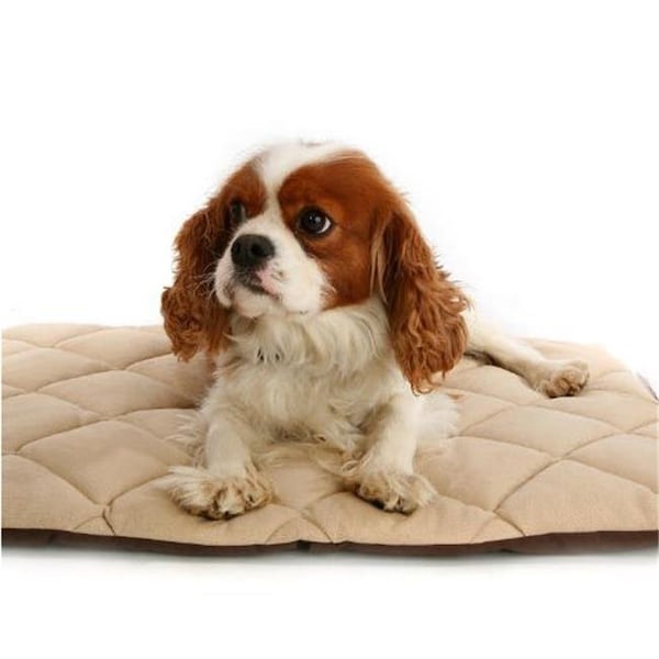 American Pet Diner American Pet Diner 100FLLQC035 Flectabed Q 50 in. x 30 in. - Cream - 100FLLQC035