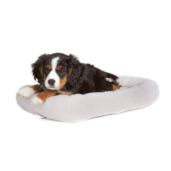 Slumber Pet Dog Bed, 17-3/4 in L, 11-3/4 in W, Bumper Style Pattern, Sherpa Cover, Natural - ZW250 19