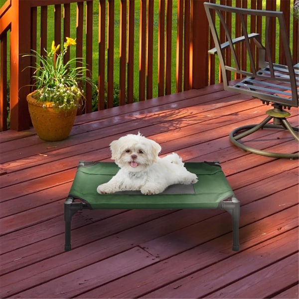 Daretocare Elevated Pet Bed Green - 24.5 x 18.5 x 7 in. - DA3242868